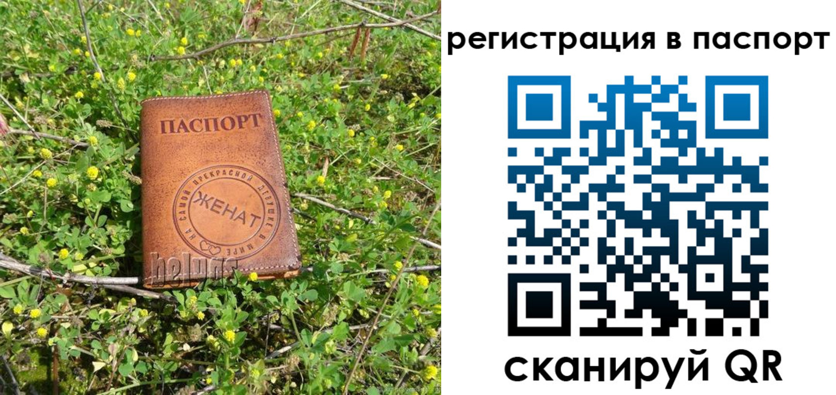 прописка законно в Петушках